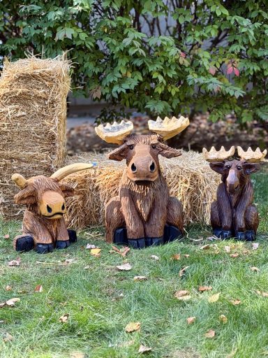 First time carving moose and Highland cow for the show. All pine. Moose and Highland cow carvings